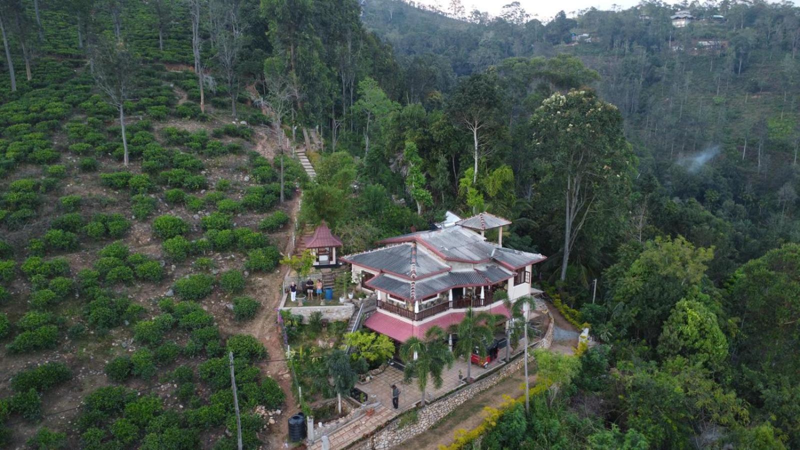 H3 Hilltop Heaven Ella Exterior foto